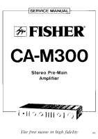 Fisher CAM-300 - Service Manual